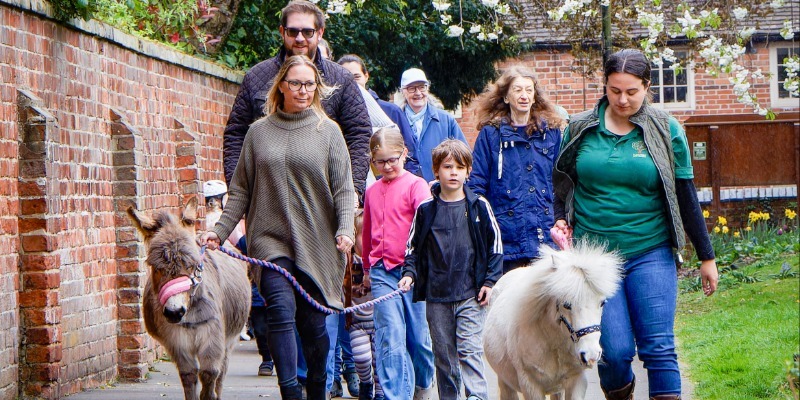 Donkey leads the Palm Sunday P