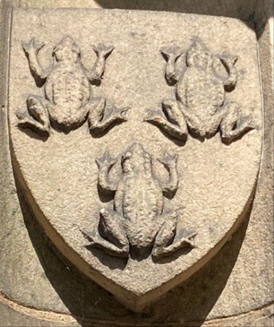toads